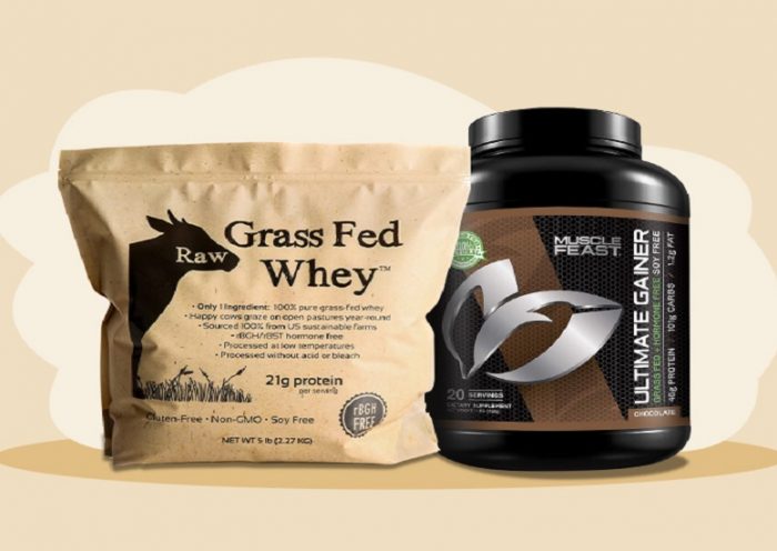 Benefits of using a Grass Fed Whey Protein Powder